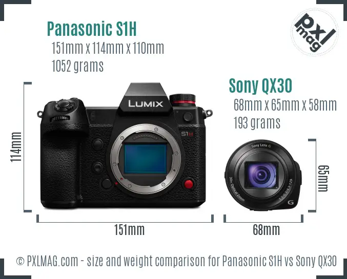 Panasonic S1H vs Sony QX30 size comparison