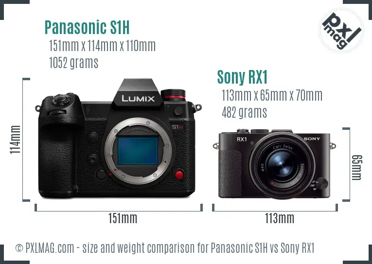 Panasonic S1H vs Sony RX1 size comparison