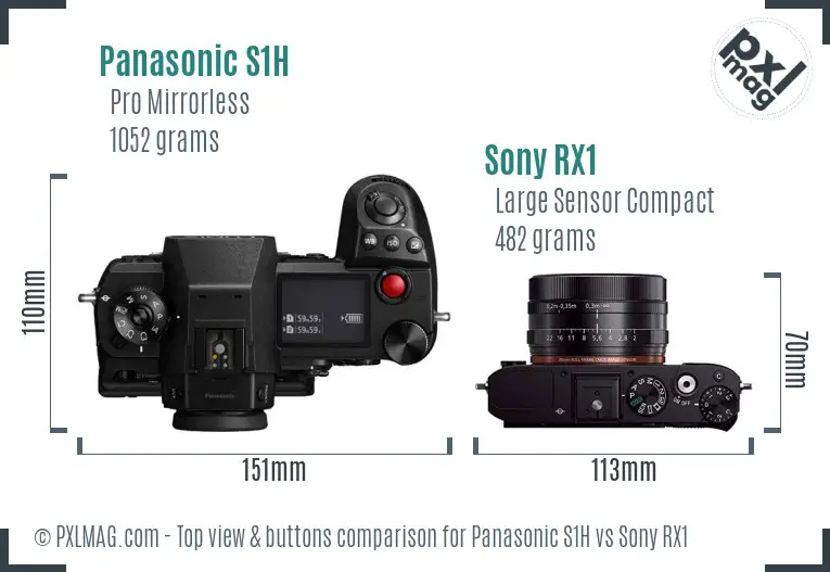 Panasonic S1H vs Sony RX1 top view buttons comparison