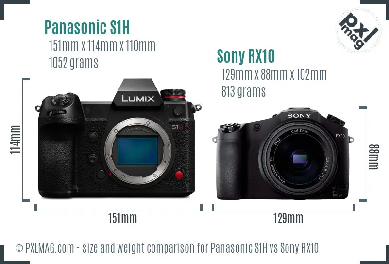 Panasonic S1H vs Sony RX10 size comparison