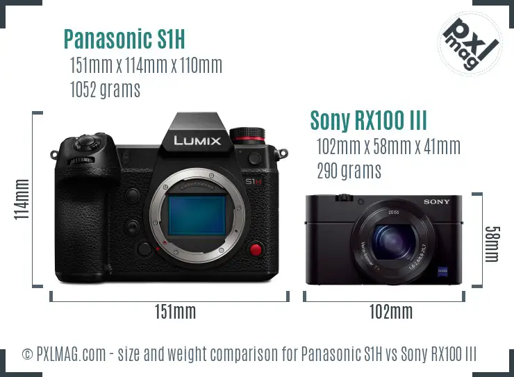 Panasonic S1H vs Sony RX100 III size comparison