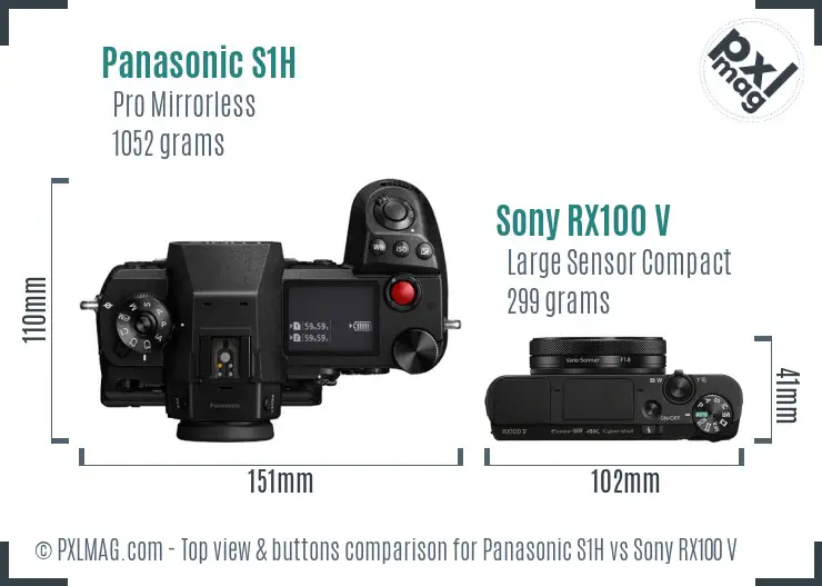 Panasonic S1H vs Sony RX100 V top view buttons comparison