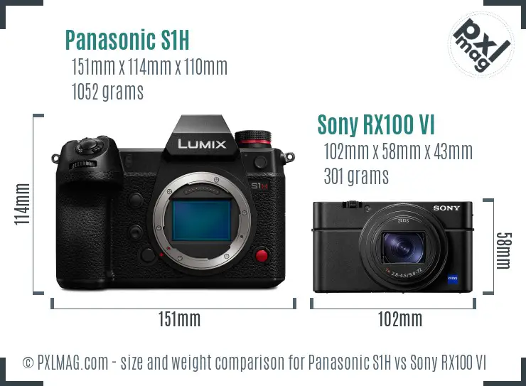 Panasonic S1H vs Sony RX100 VI size comparison