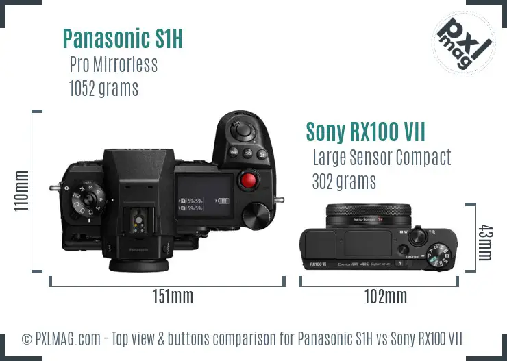 Panasonic S1H vs Sony RX100 VII top view buttons comparison