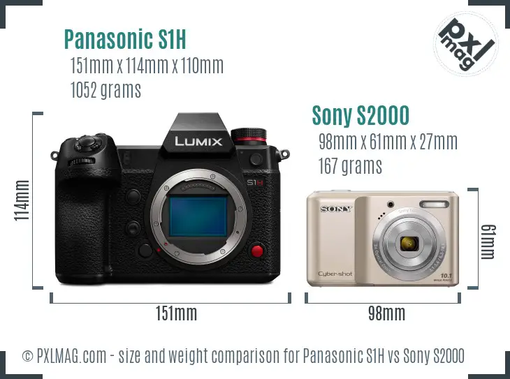 Panasonic S1H vs Sony S2000 size comparison