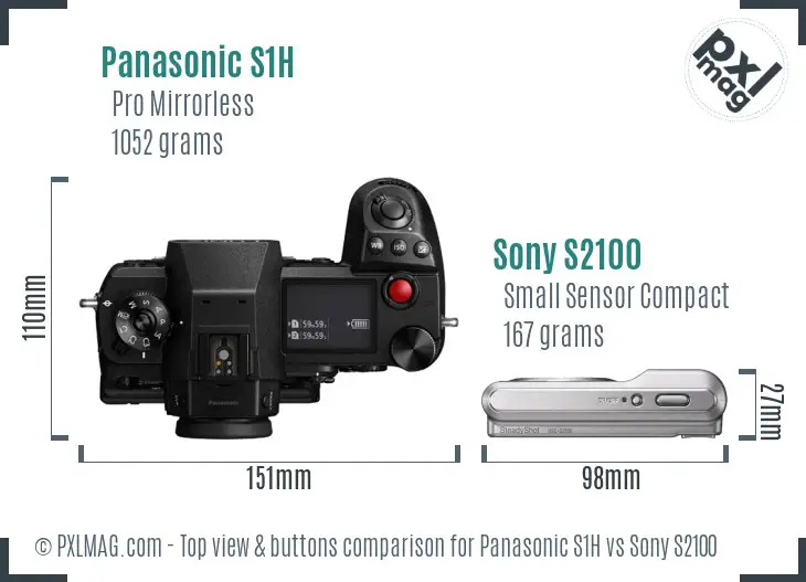 Panasonic S1H vs Sony S2100 top view buttons comparison