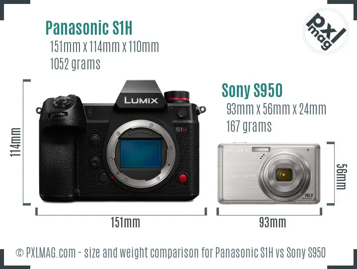 Panasonic S1H vs Sony S950 size comparison