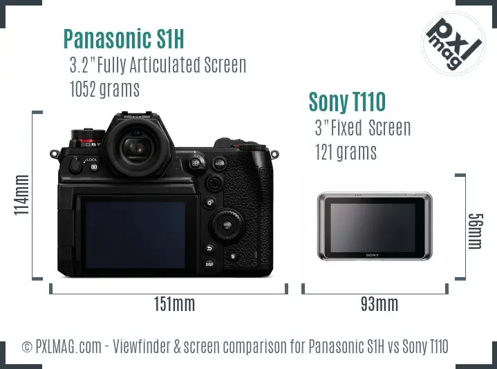 Panasonic S1H vs Sony T110 Screen and Viewfinder comparison