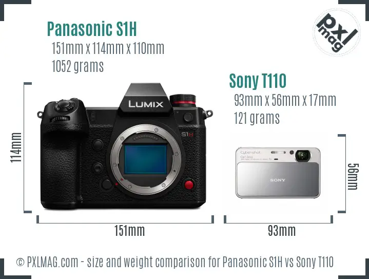 Panasonic S1H vs Sony T110 size comparison