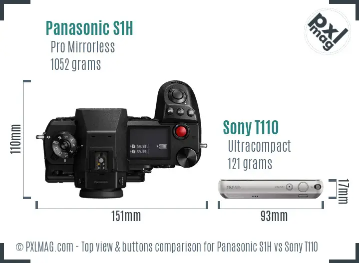 Panasonic S1H vs Sony T110 top view buttons comparison