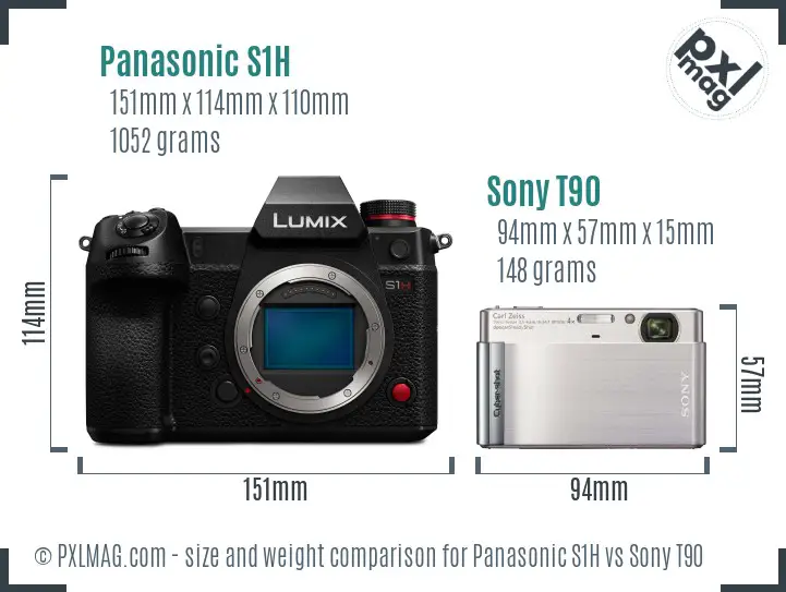 Panasonic S1H vs Sony T90 size comparison