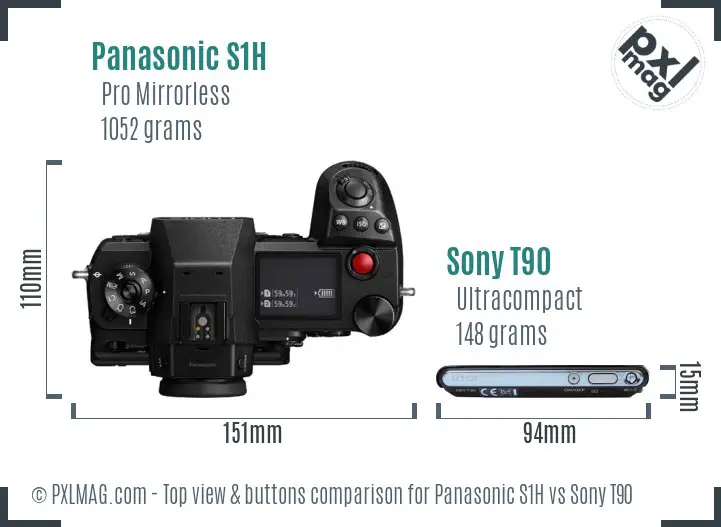 Panasonic S1H vs Sony T90 top view buttons comparison