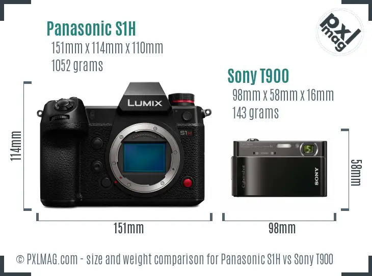 Panasonic S1H vs Sony T900 size comparison