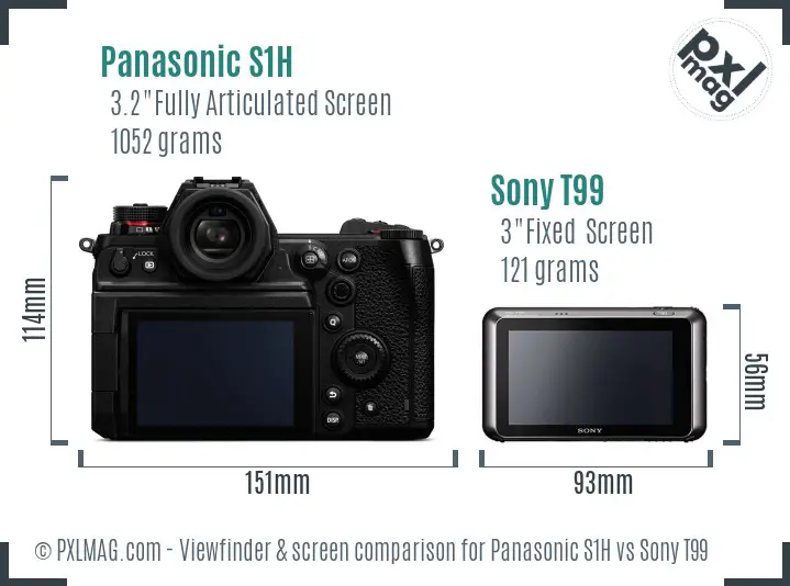Panasonic S1H vs Sony T99 Screen and Viewfinder comparison