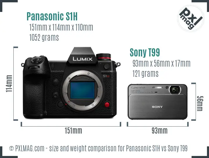 Panasonic S1H vs Sony T99 size comparison