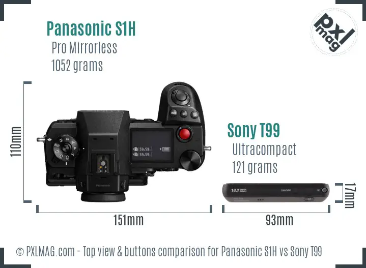 Panasonic S1H vs Sony T99 top view buttons comparison