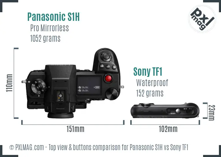 Panasonic S1H vs Sony TF1 top view buttons comparison