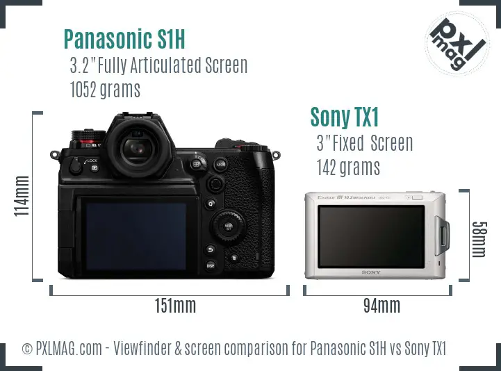 Panasonic S1H vs Sony TX1 Screen and Viewfinder comparison