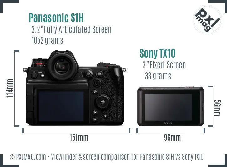 Panasonic S1H vs Sony TX10 Screen and Viewfinder comparison