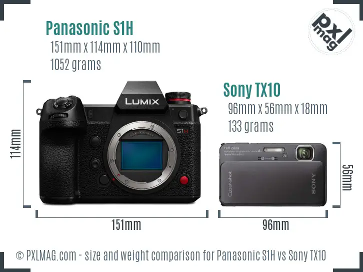 Panasonic S1H vs Sony TX10 size comparison
