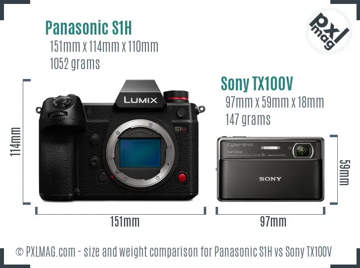 Panasonic S1H vs Sony TX100V size comparison