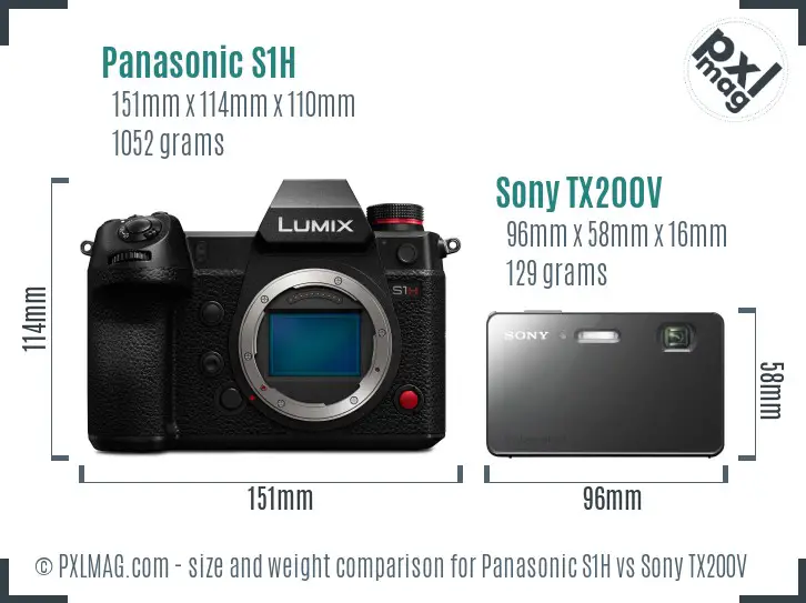Panasonic S1H vs Sony TX200V size comparison