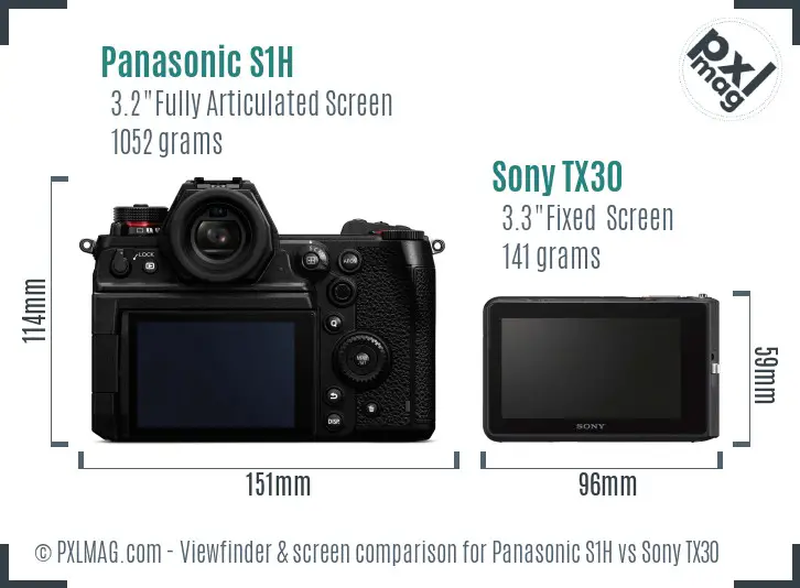 Panasonic S1H vs Sony TX30 Screen and Viewfinder comparison