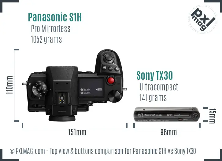 Panasonic S1H vs Sony TX30 top view buttons comparison