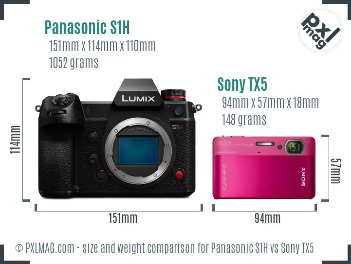 Panasonic S1H vs Sony TX5 size comparison Panasonic S1H vs Sony TX5 size comparison