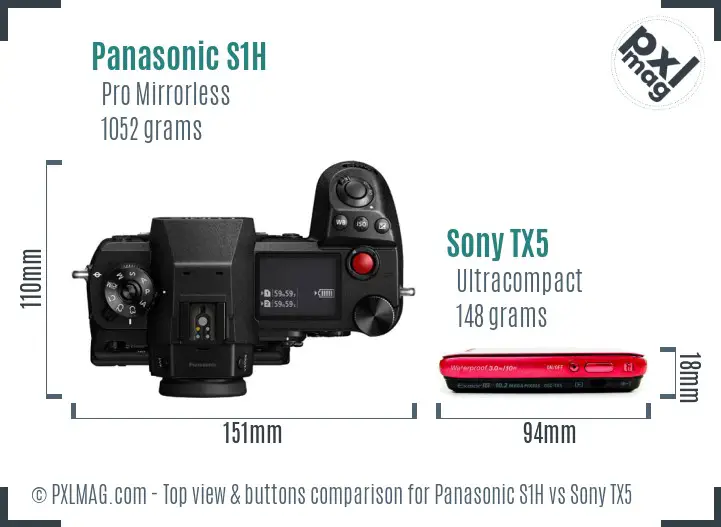 Panasonic S1H vs Sony TX5 top view buttons comparison Panasonic S1H vs Sony TX5 top view buttons comparison