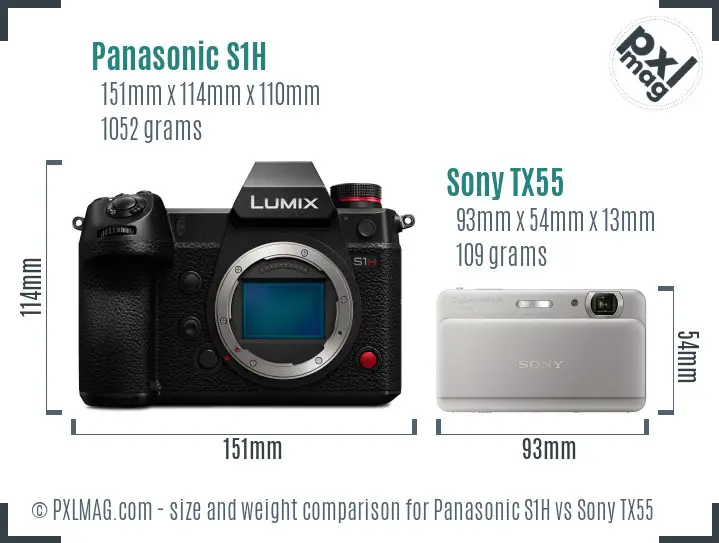 Panasonic S1H vs Sony TX55 size comparison