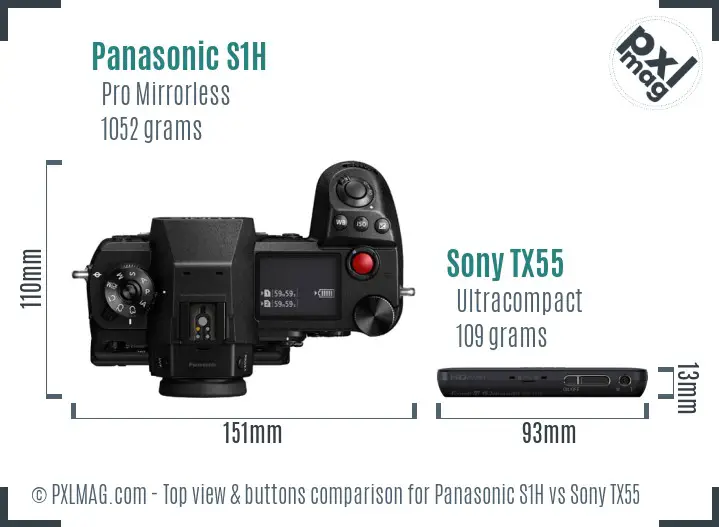 Panasonic S1H vs Sony TX55 top view buttons comparison