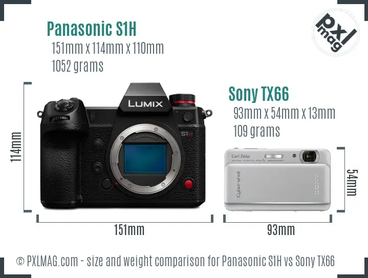 Panasonic S1H vs Sony TX66 size comparison