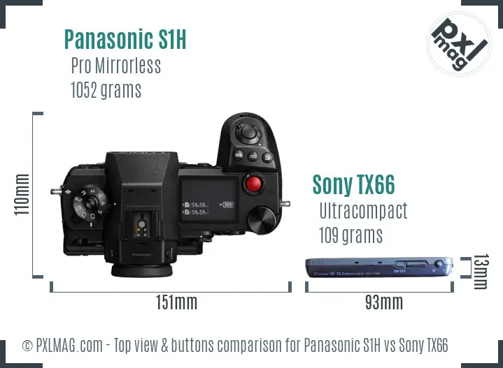 Panasonic S1H vs Sony TX66 top view buttons comparison