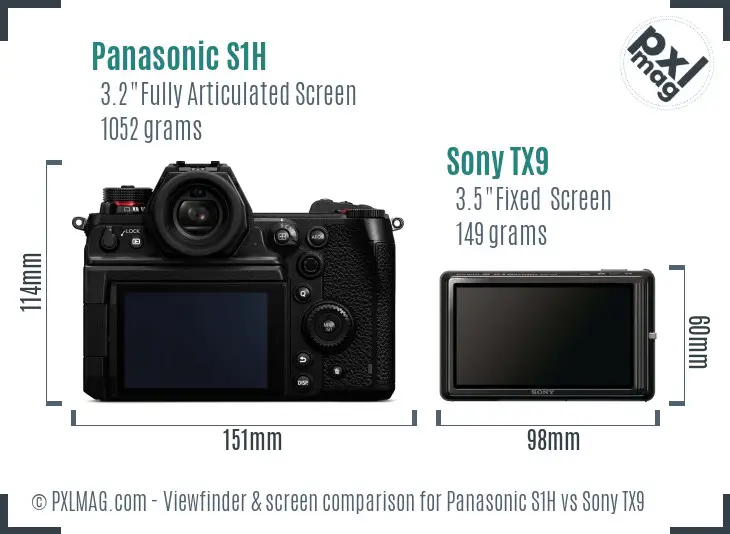 Panasonic S1H vs Sony TX9 Screen and Viewfinder comparison