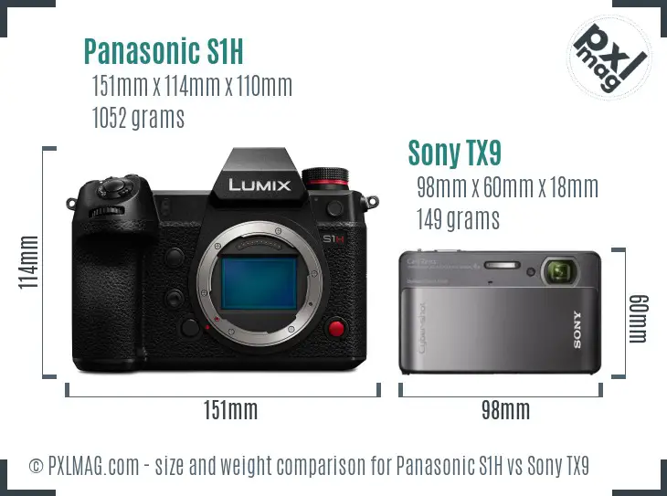 Panasonic S1H vs Sony TX9 size comparison