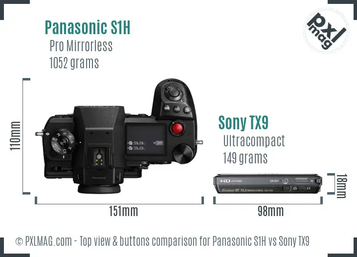 Panasonic S1H vs Sony TX9 top view buttons comparison