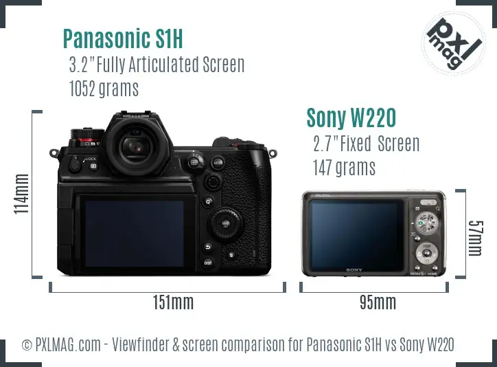 Panasonic S1H vs Sony W220 Screen and Viewfinder comparison