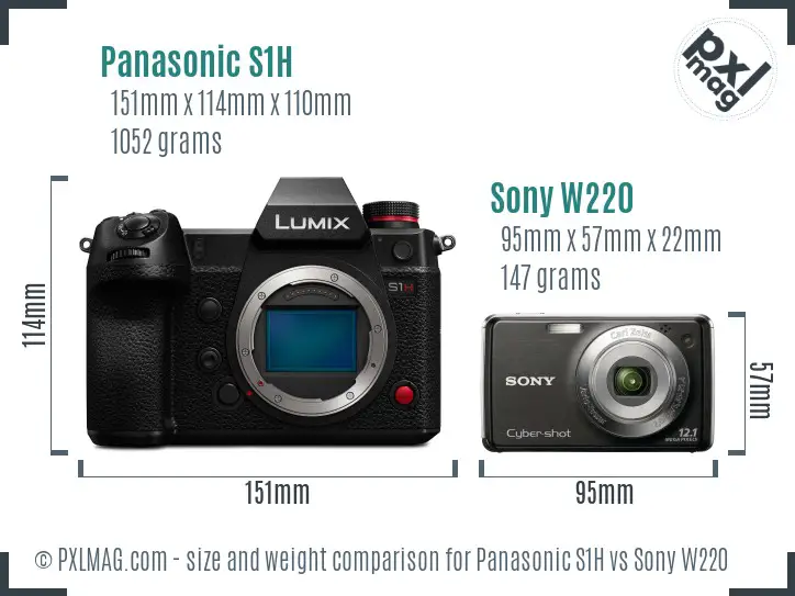 Panasonic S1H vs Sony W220 size comparison