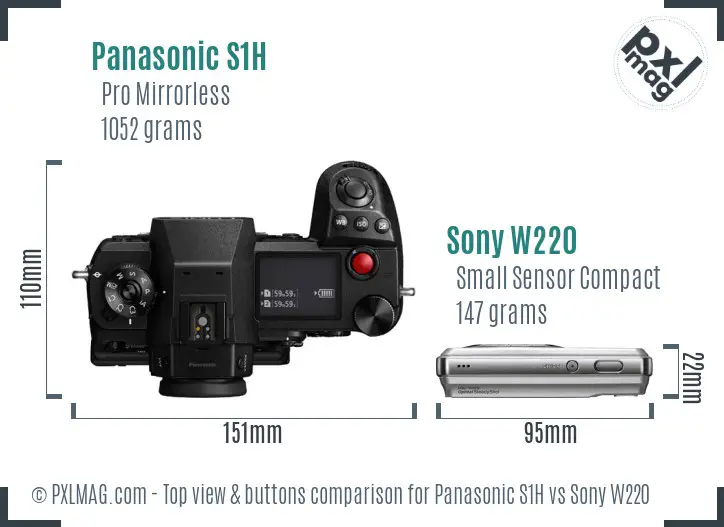 Panasonic S1H vs Sony W220 top view buttons comparison