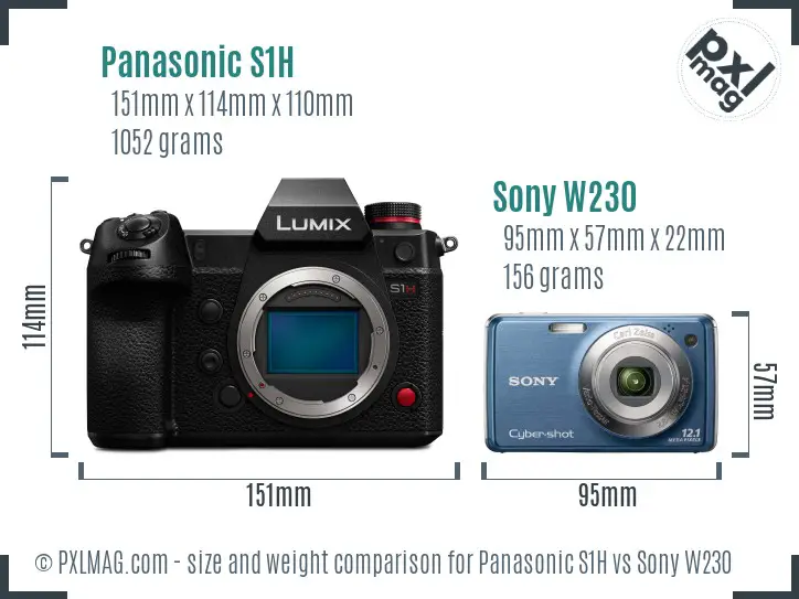 Panasonic S1H vs Sony W230 size comparison Panasonic S1H vs Sony W230 size comparison