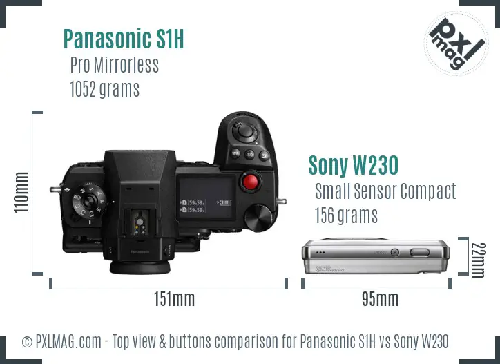 Panasonic S1H vs Sony W230 top view buttons comparison Panasonic S1H vs Sony W230 top view buttons comparison