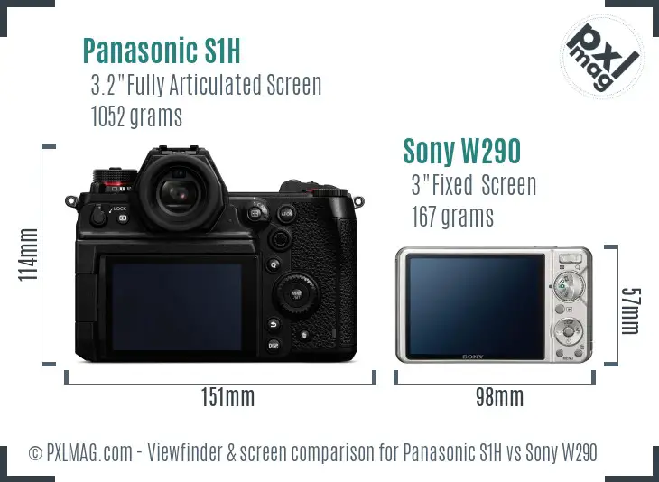 Panasonic S1H vs Sony W290 Screen and Viewfinder comparison