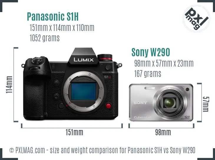 Panasonic S1H vs Sony W290 size comparison