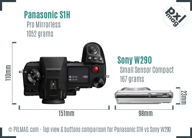 Panasonic S1H vs Sony W290 top view buttons comparison