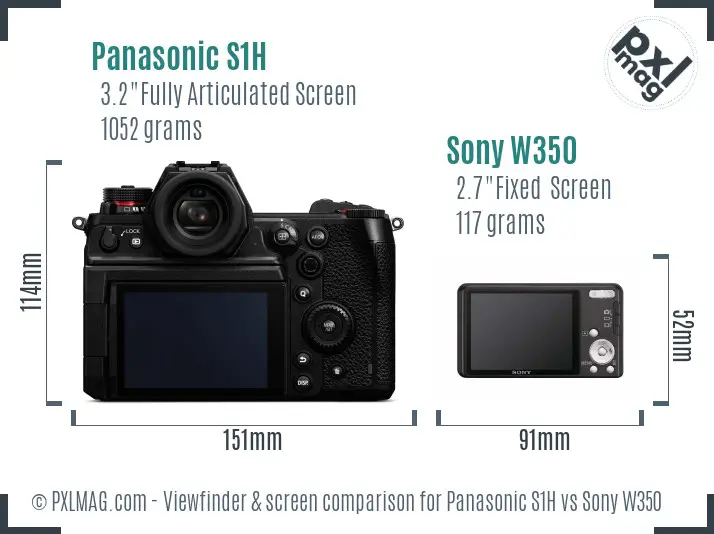 Panasonic S1H vs Sony W350 Screen and Viewfinder comparison