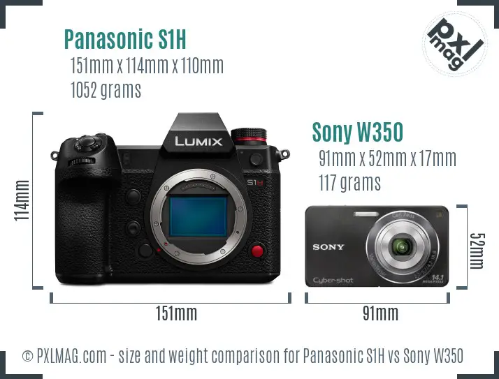 Panasonic S1H vs Sony W350 size comparison