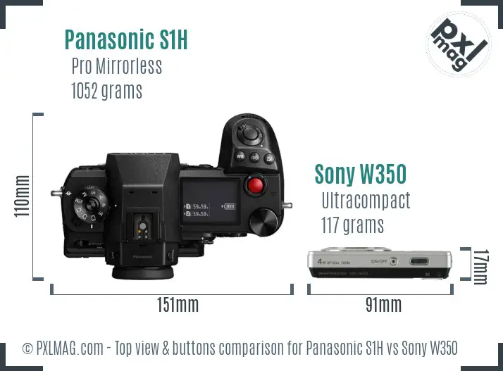 Panasonic S1H vs Sony W350 top view buttons comparison