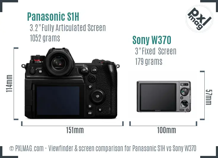 Panasonic S1H vs Sony W370 Screen and Viewfinder comparison