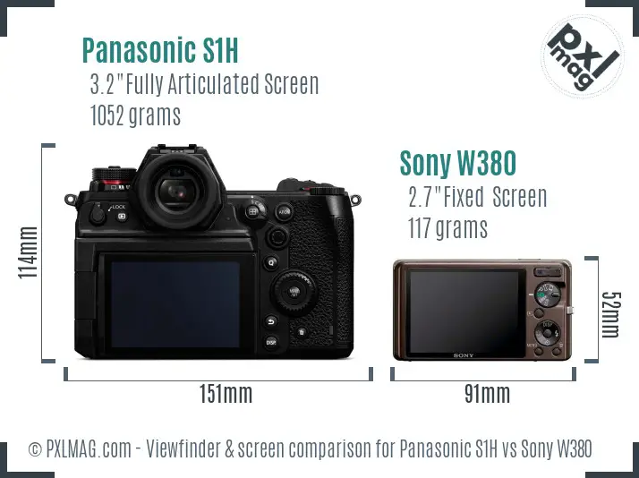 Panasonic S1H vs Sony W380 Screen and Viewfinder comparison